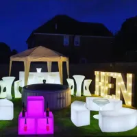 Hen Light Up Letters