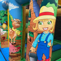 Farm Midi Bouncer