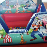 Mickey Mouse Clubhouse Soft Play Package