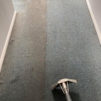 Carpet Cleaning
