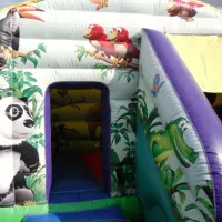 Jungle Bounce And Slide