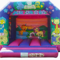 15ft X 13ft Cartoon Bouncy Castle