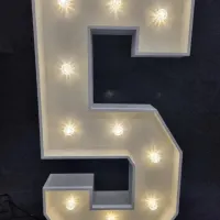 Number Lights 4ft 0-9 Available