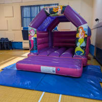 Purple And Pink Castle