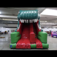 Triple Dinosaur 3d Package