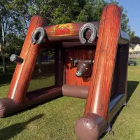 Ring The Rodeo Bull
