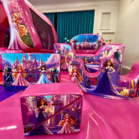 The Ultimate Princess Package