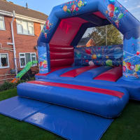 Adult Party Bouncy Castle