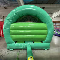 Little Jungle Curved Bouncer