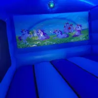 Ultimate Unicorn Slide Party Package