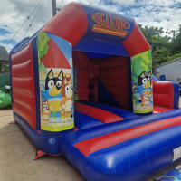 15ft X 15ft Bluey Themed Bouncy Castle With Slide