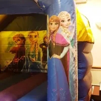 Frozen Bounce And Slide Castle