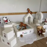 First Rodeo Themed Soft Play