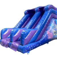 Disco 8ft Platform Slide