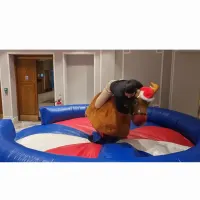 Rodeo Bull Hire Birmingham Bucking Bronco Hire