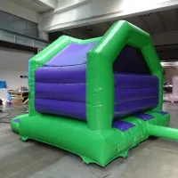 3d Dinosaur Front Slide Castle