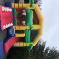 Crocodile Bouncy Castle 20ft X20ft