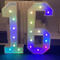 Light Up Birthday Numbers