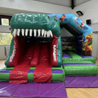 Dinosaur 3d Twin Slide Bouncy Castle