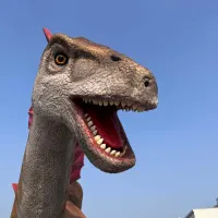 Armargasaurus