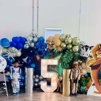 Themed Party Decor Back Drops