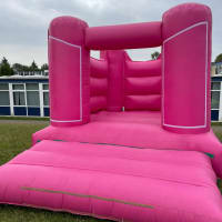 Low Height Pink Celebrations Castle