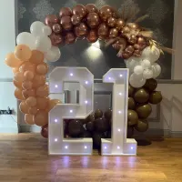 Light Up Numbers