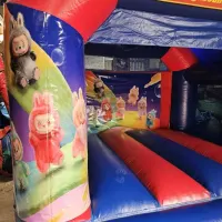 12ft X 12ft Labubu Interchangeable Bouncy Castle