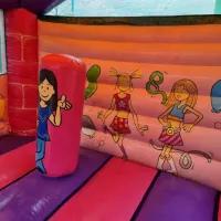 14ft X 16ft Pink N Funky Bounce And Front Slide