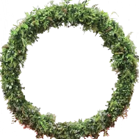 Forest Green Foliage Moonring Covered In Wild Green Foliage
