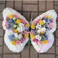 Pillows, Cushions And Butterflies