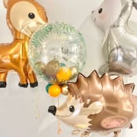 Crazy Daisys Balloons
