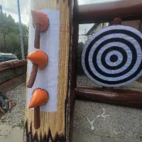 Viking Axe Throwing