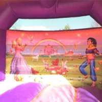 12ft X 12ft Princess Bouncy Castle