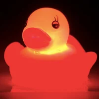 Light Up Duck