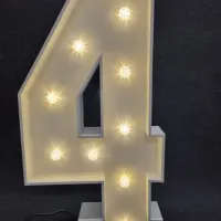 Number Lights 4ft 0-9 Available