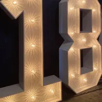 4ft Led Numbers