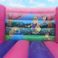 12ft X 12ft Princess Indoor H Frame Bouncy Castle