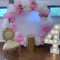 Themed Party Decor Back Drops