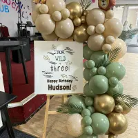 Balloon Displays