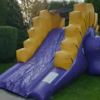 Dinosaur Assault Course 1