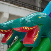 Dinosaur Front Slide Combi 3 D T Rex