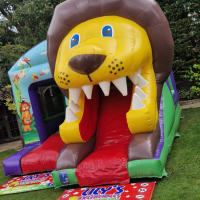 3d Lion Slide