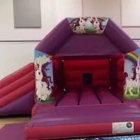 Pink  Purple Side Slide Castle Velcro 15 X 17ft