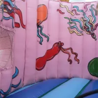 10ft X 10ft Birthday Cake Bouncy Castle