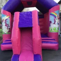 Large Pink Velcro Bounce And Slide