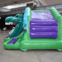 3d Dinosaur Front Slide Combi