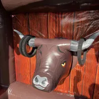 Ring The Rodeo Bull
