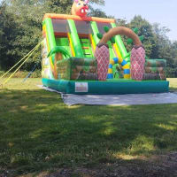 Mega Twin Lane Jungle Slide