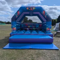 Adult Purple And Blue Party Theme Bouncy Castle